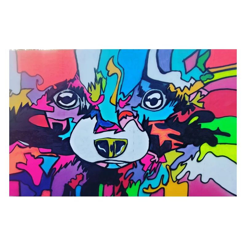 Bunter Waschbär