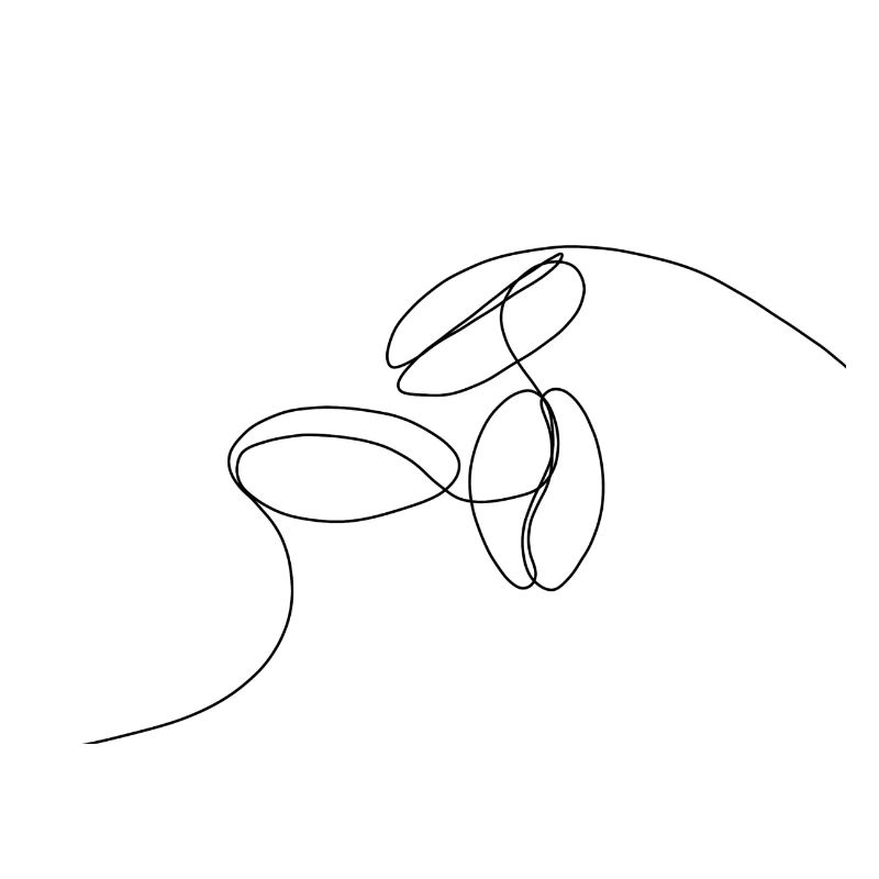 Coffee beans linear