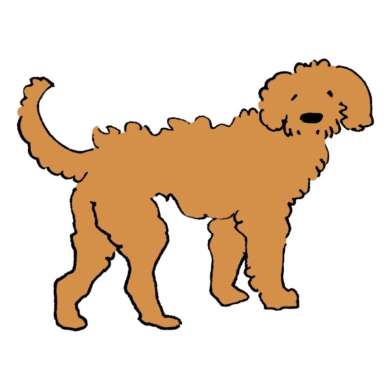 Doodle doré