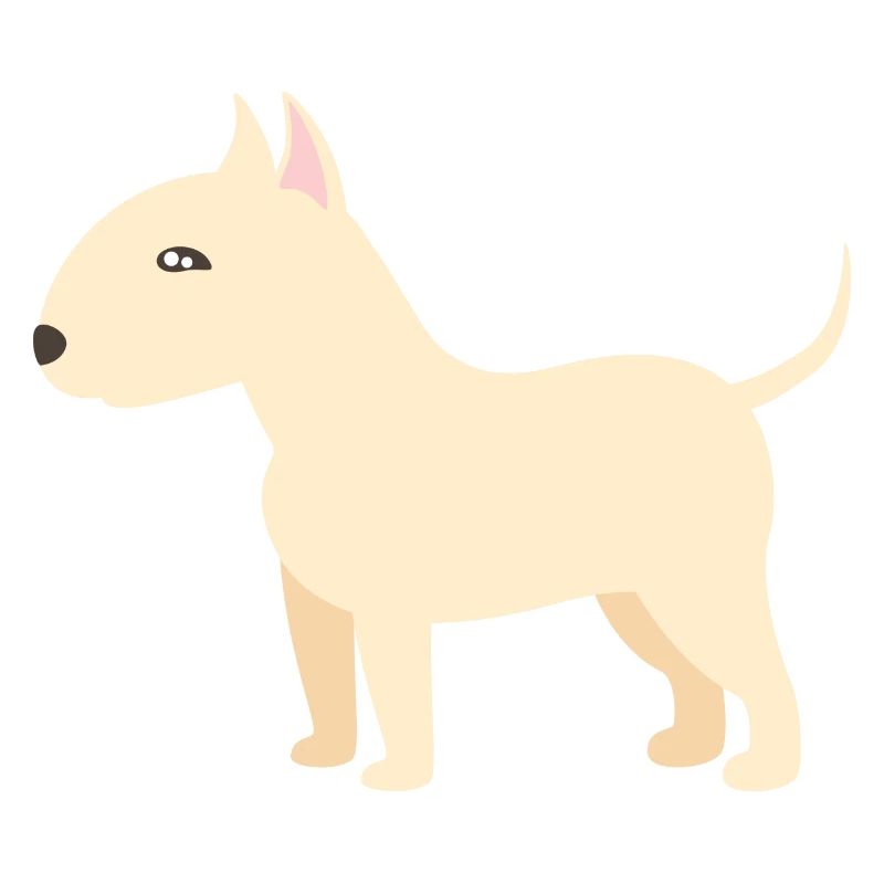 Bull terrier