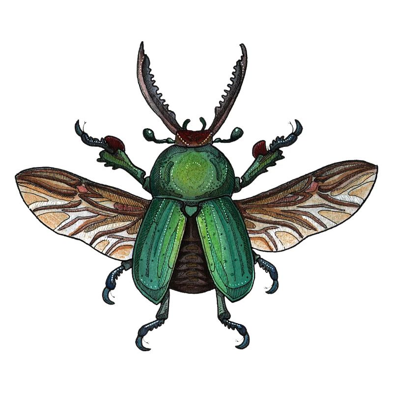 Big Green Beetle - coléoptère vert géant