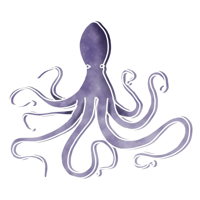 « Octopus », Boho Line Art Design, série « Ocean »