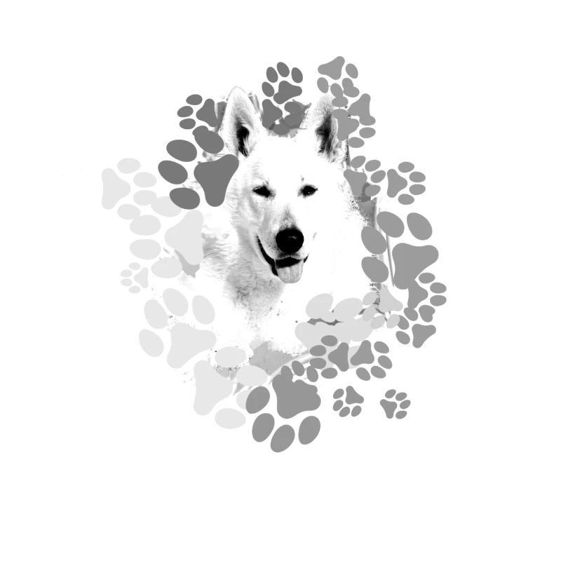 White Shepherd, German Shepherd, Paws, Print