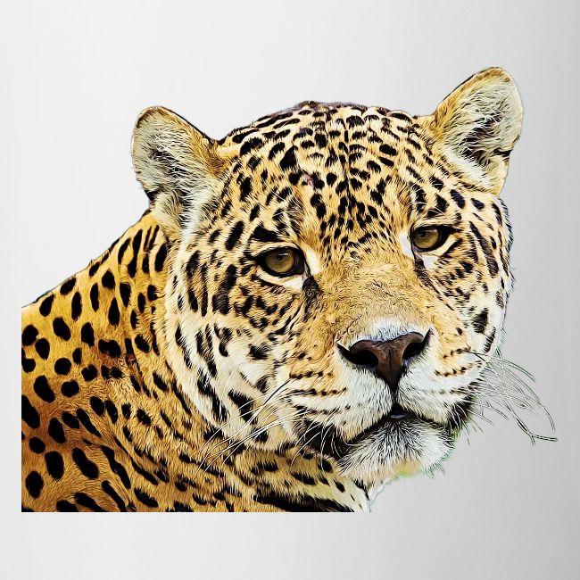 jaguar