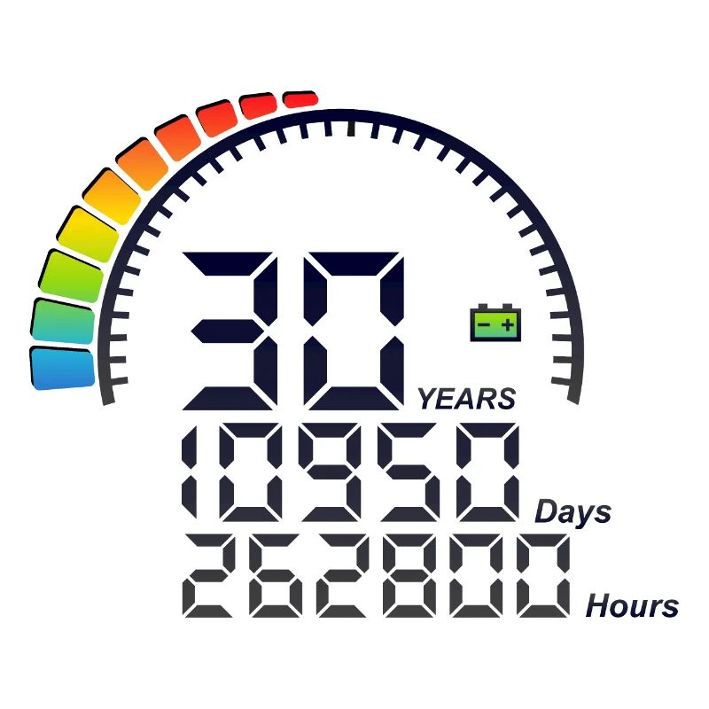 30 years anniversary meter speed days