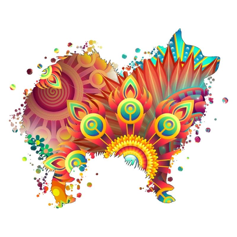 German Spitz Deutscher Spitz Hund Design Hunde