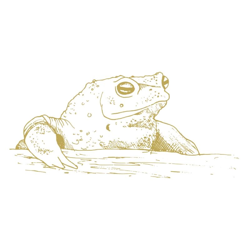 Illustrated designs with toad
