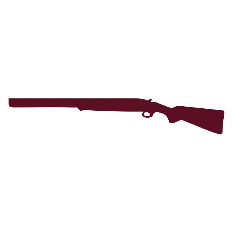 fusil de chasse