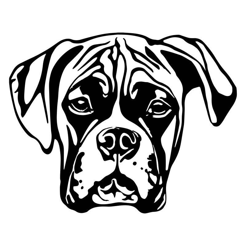 boxer WITHOUT BACKGROUND