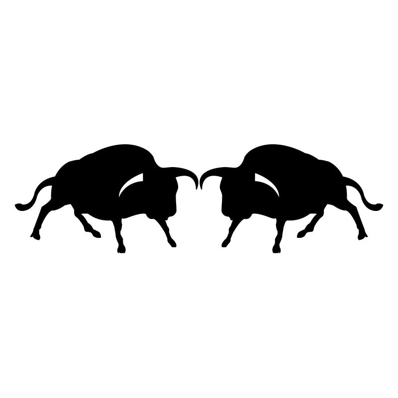 stier2