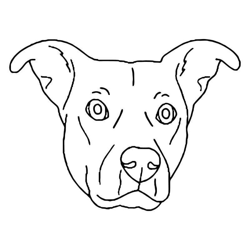chien