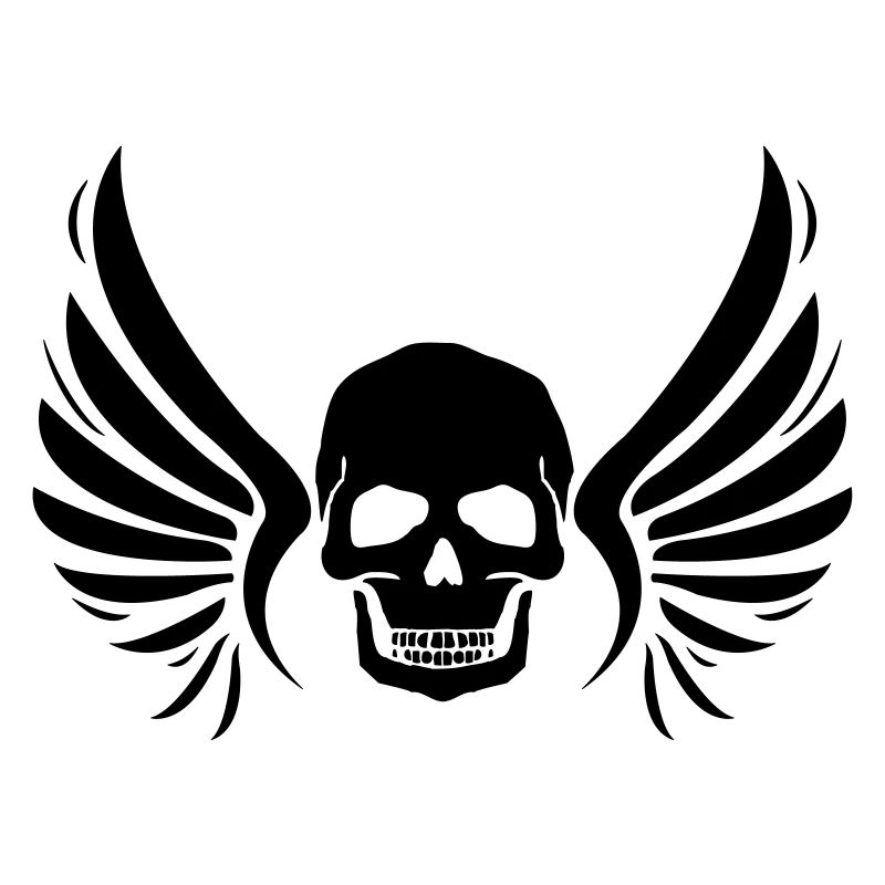 fly_skull_01