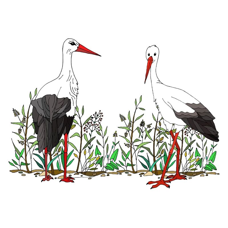 Storks