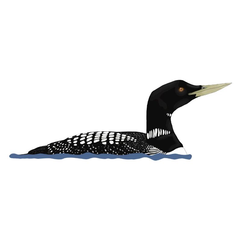 White-billed loon