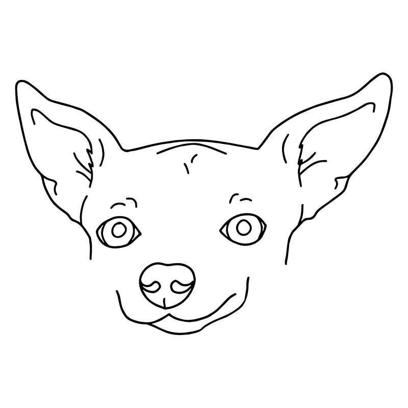 Hund