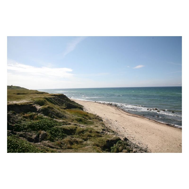 Beach/Sea/Dune
