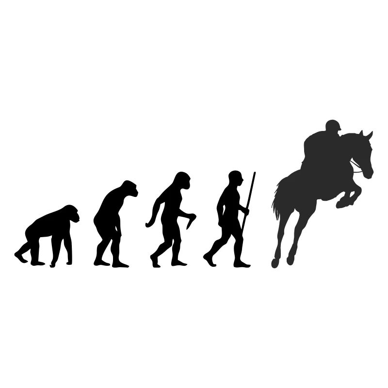 Evolution Springreiter