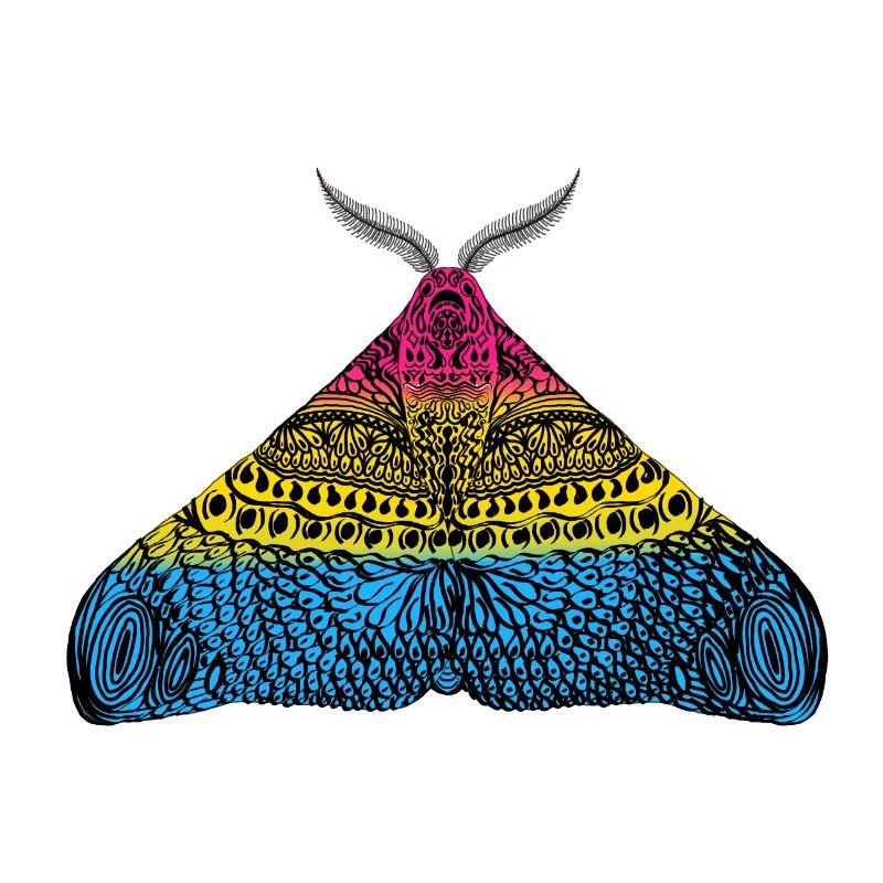Pansexual pride moth