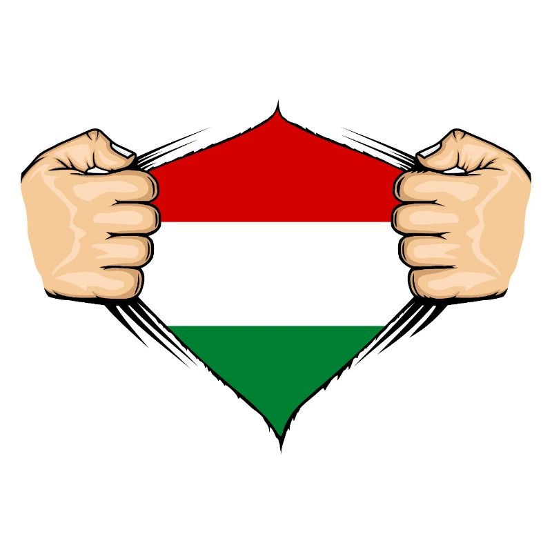 Conception du drapeau de la Hongrie