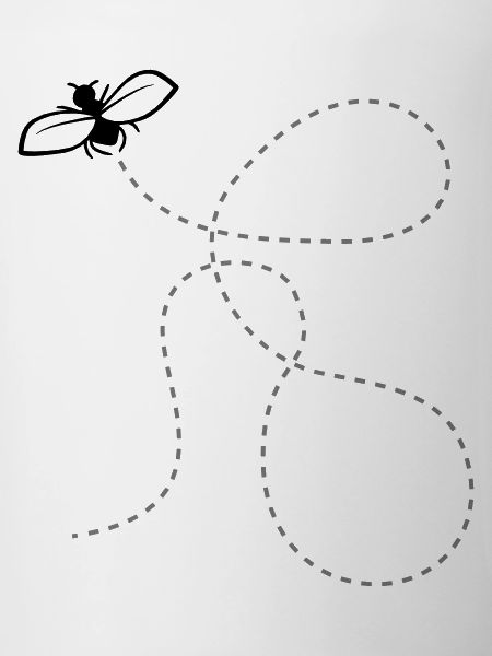 Fly Dashed Line
