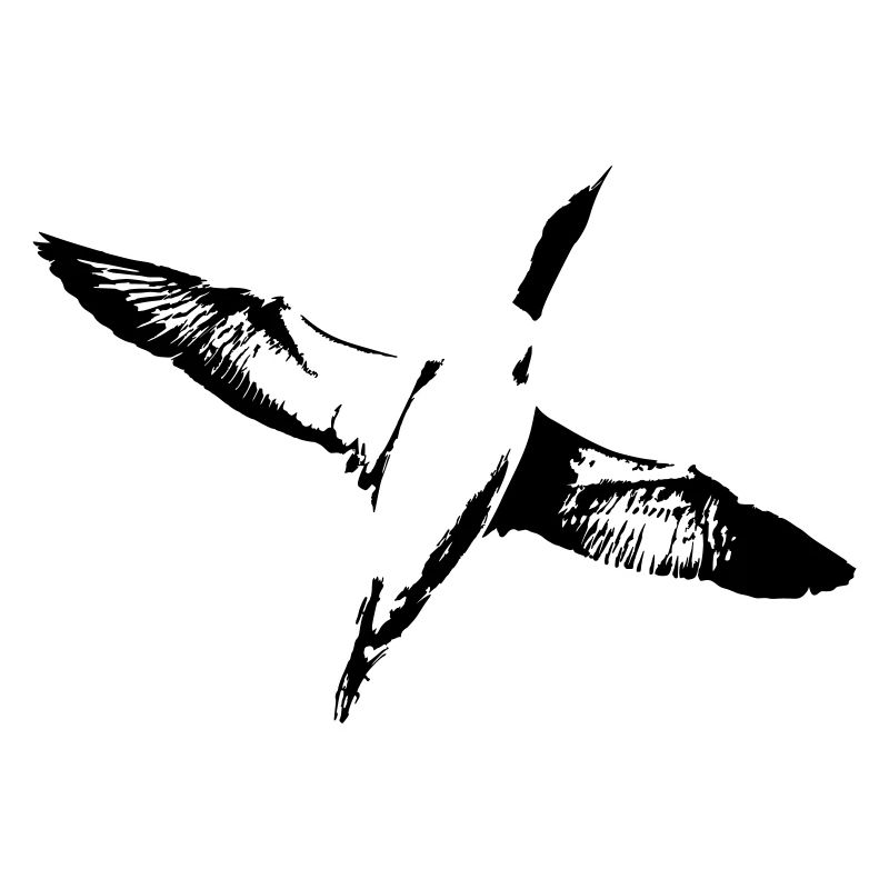Flying Gavia Arctica