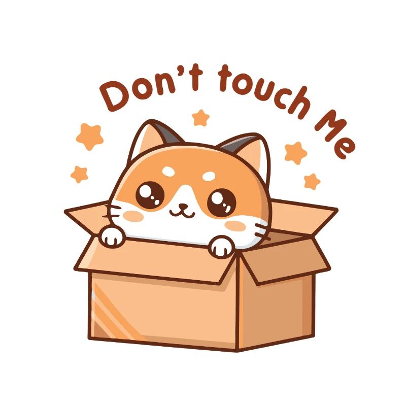 Kitten in a box Don't Touch Me