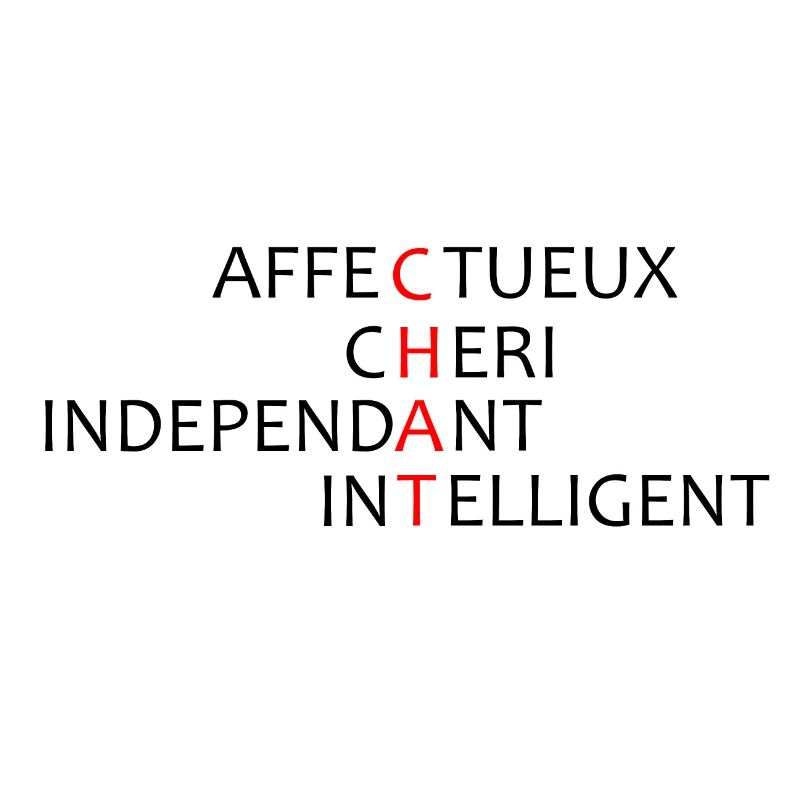 scrabble mots croisés chat