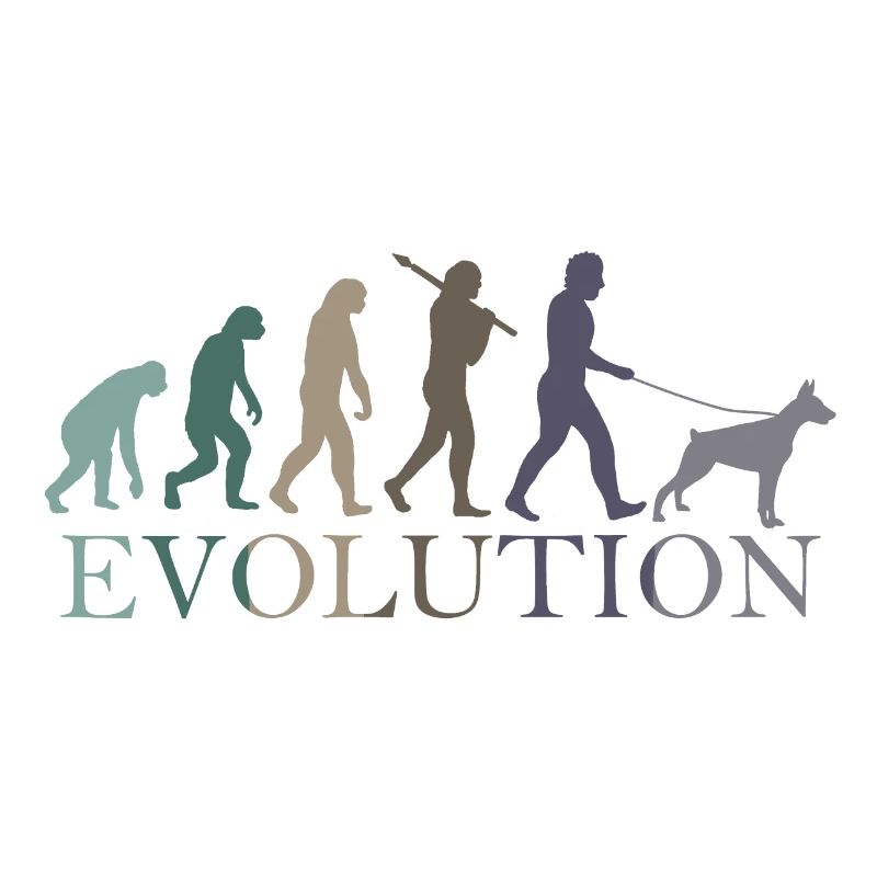 L’évolution du DOBERMAN