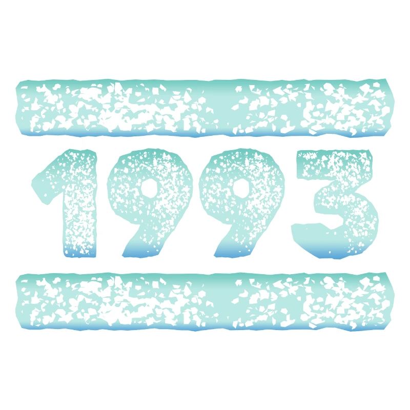 1993 1993
