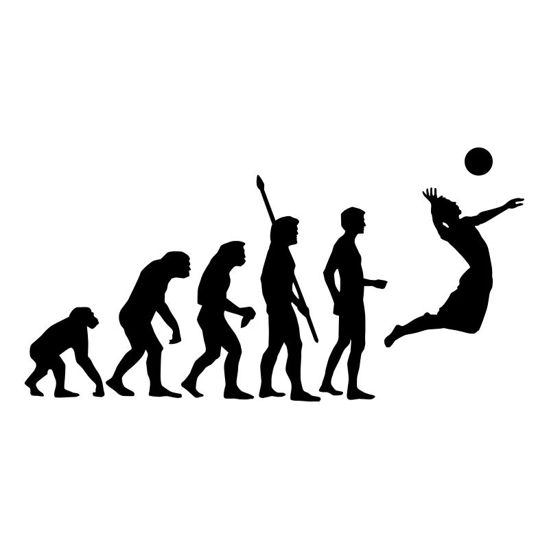 evolution_volleyball_1c
