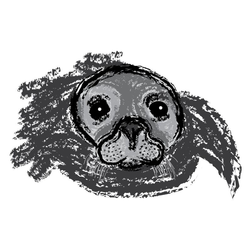 Phoques surgits / Surfacing Seal - Design I