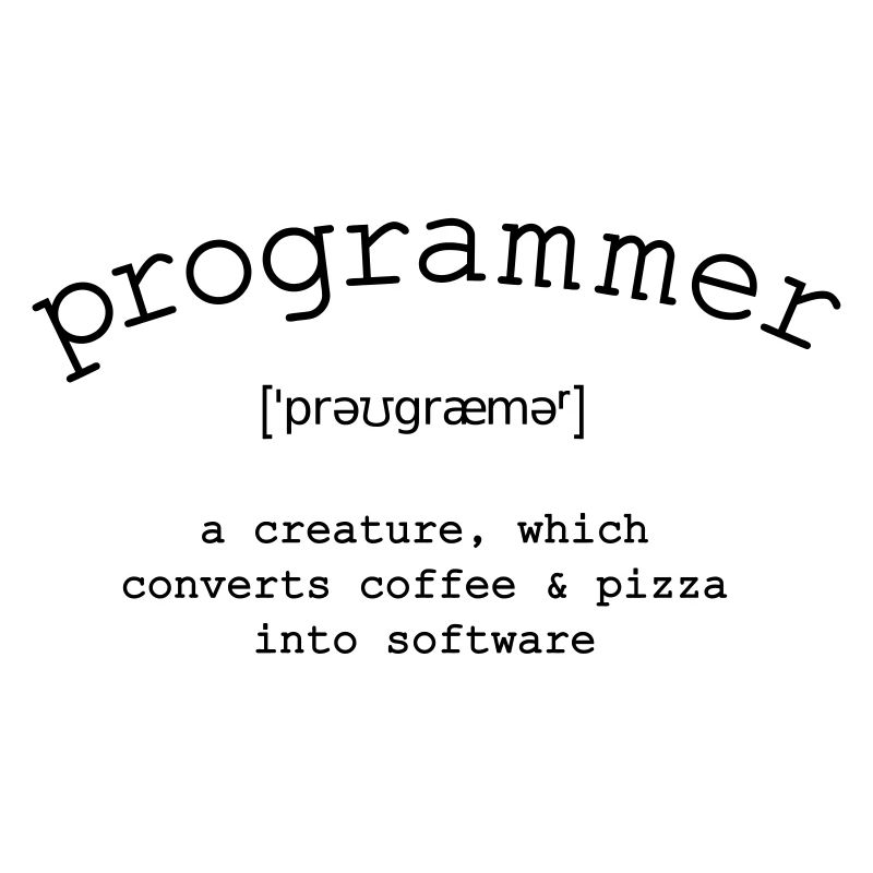 Programmer