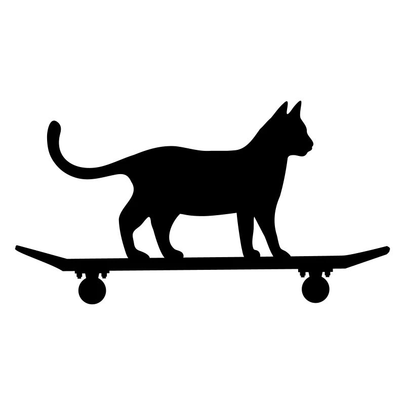 Cat on skateboard