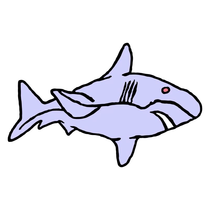 Poisson Requin Prédateur Eau Graffiti Océan