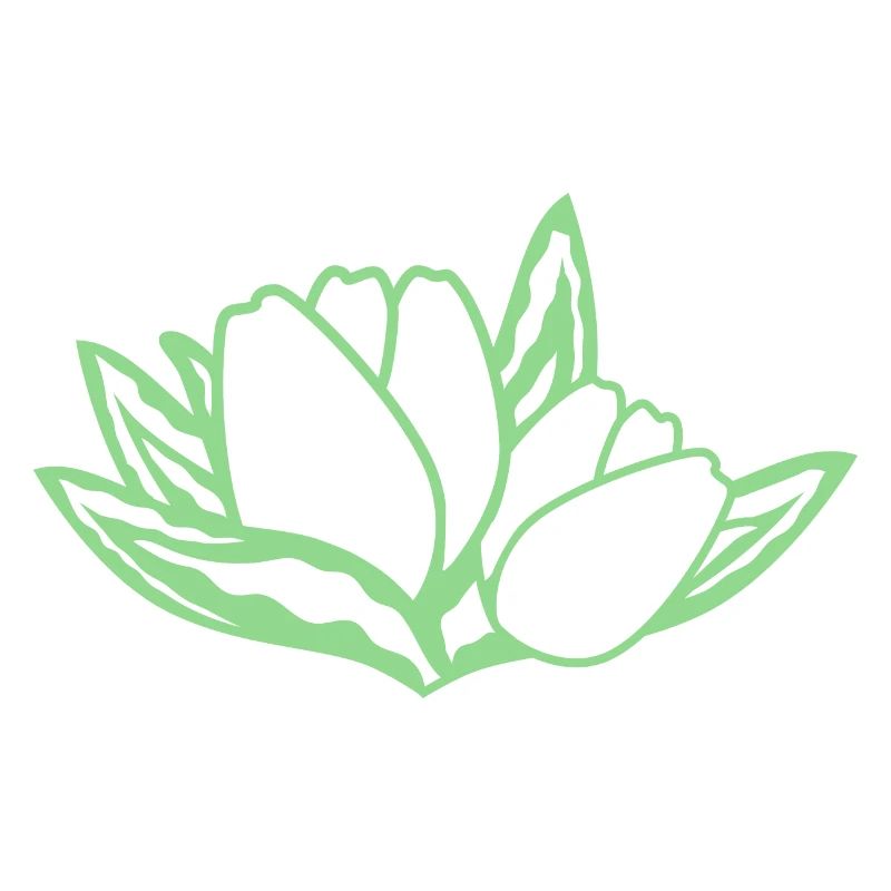 Tulipe