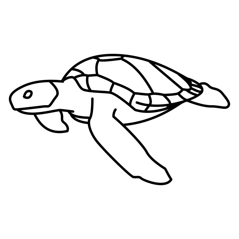 Tortue de mer