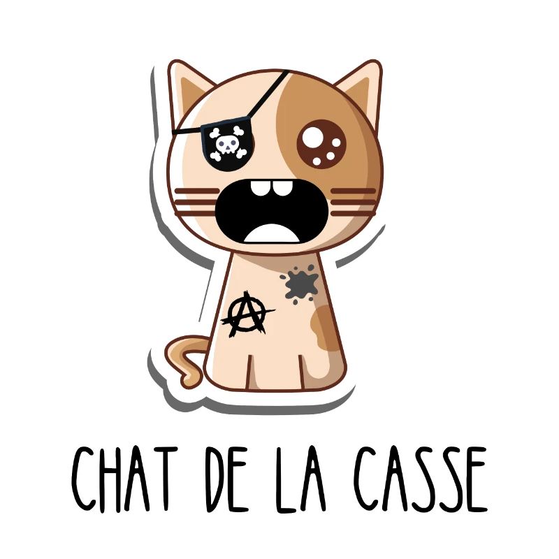 Chat de la casse