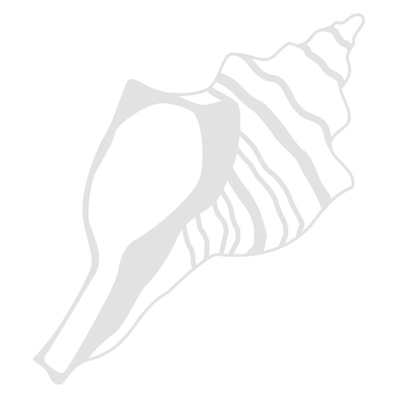 Seashells