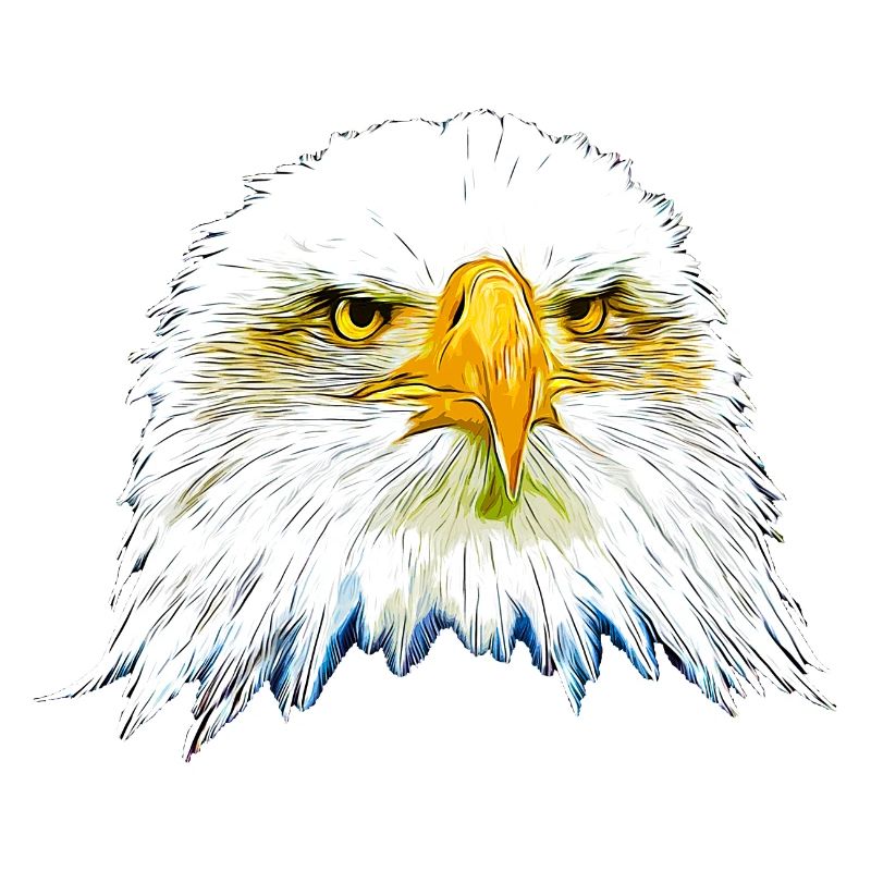 gxp eagle bald eagle vector art