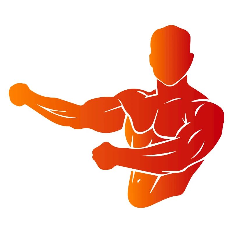 Musculation