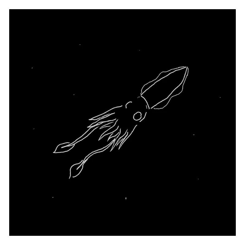 Giant Squid