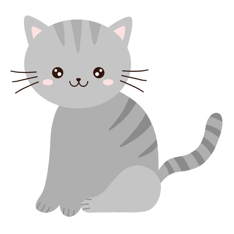 cute grey cat