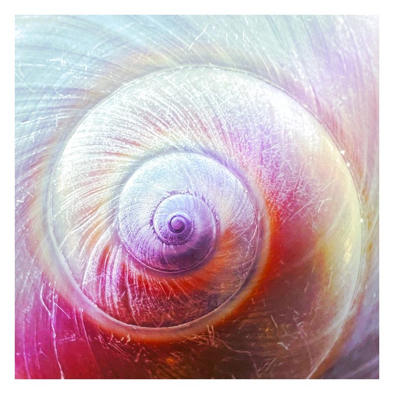 Spiral bowl