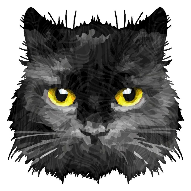 chat