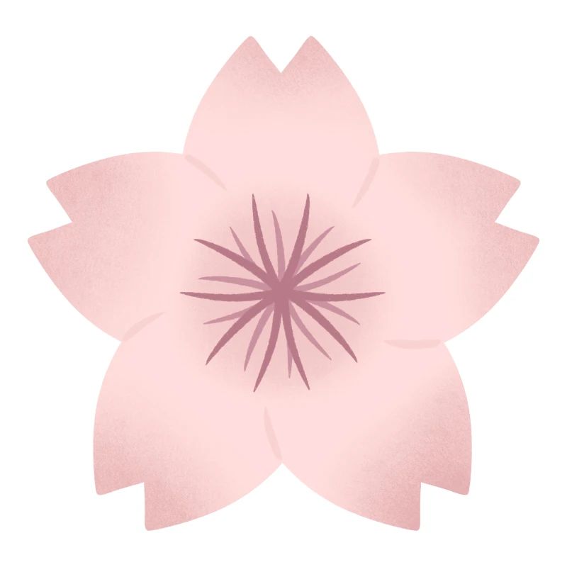 Blush Cherry Bloom
