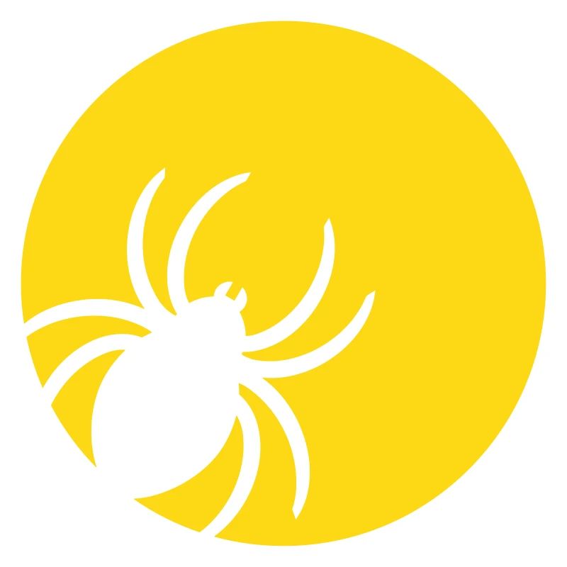 Spinne