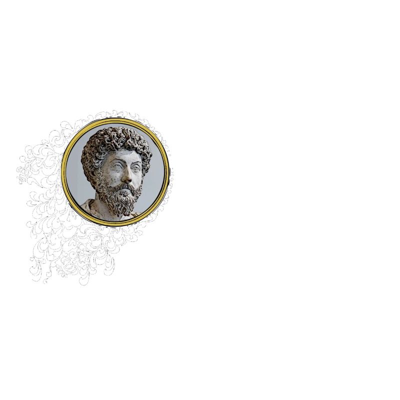 Marcus Aurelius - We own the present moment
