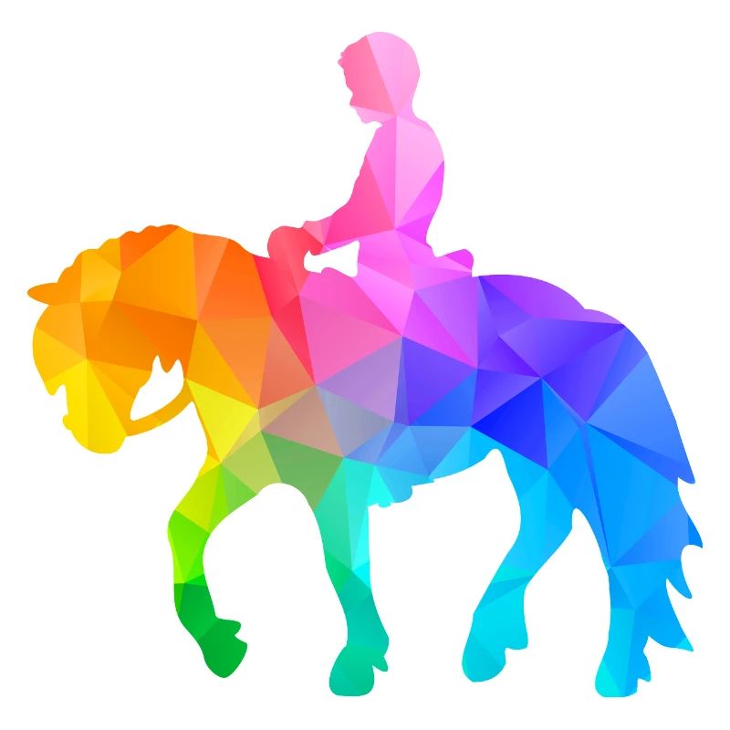 Pony Riding Boy
