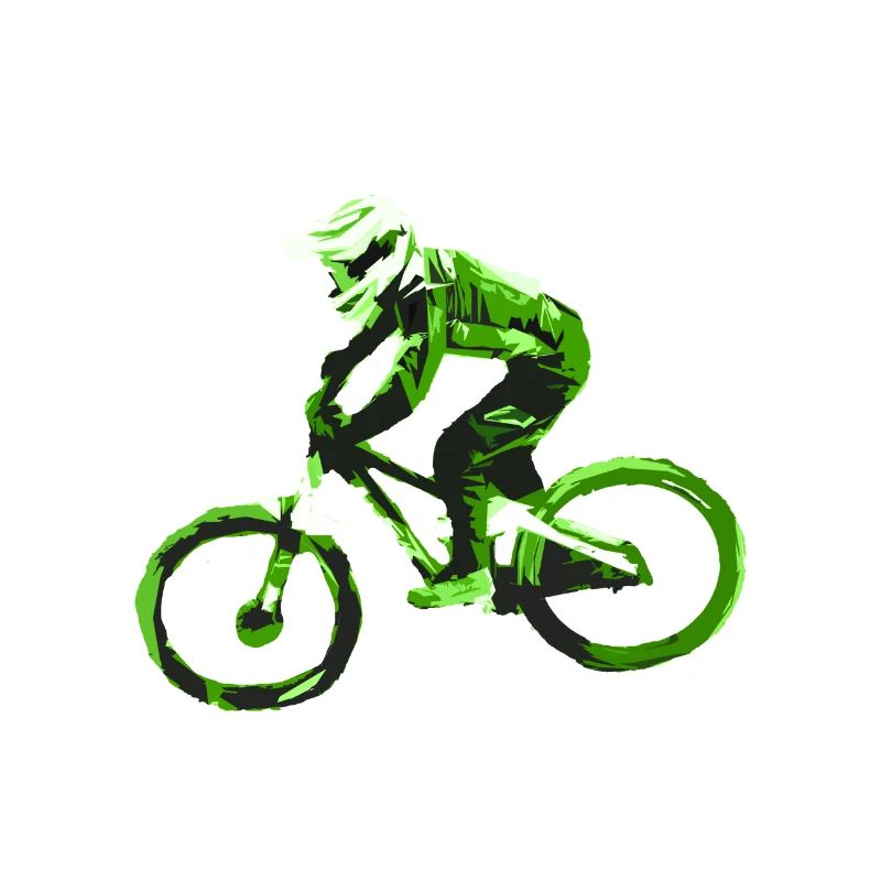 vtt mtb downhill