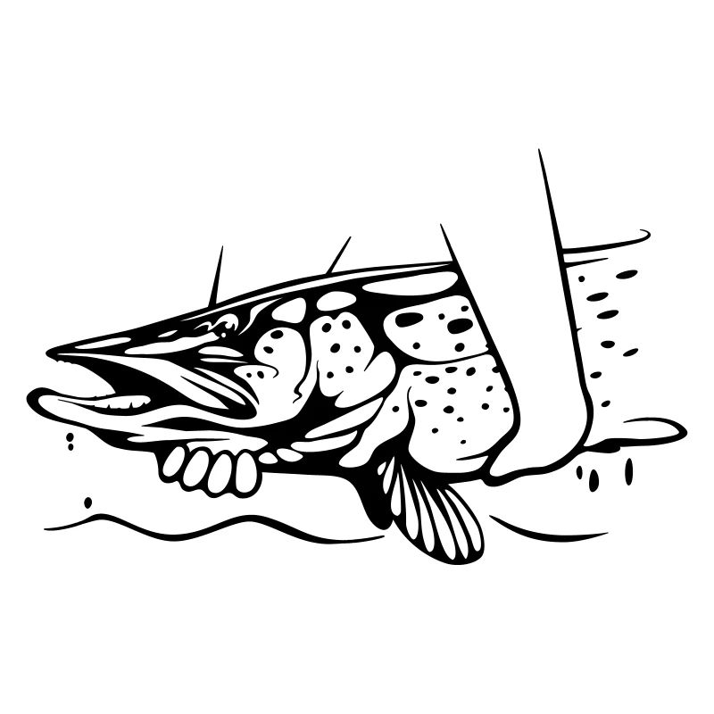 Hecht Catch & Release
